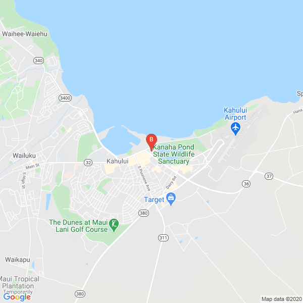 Business directory image